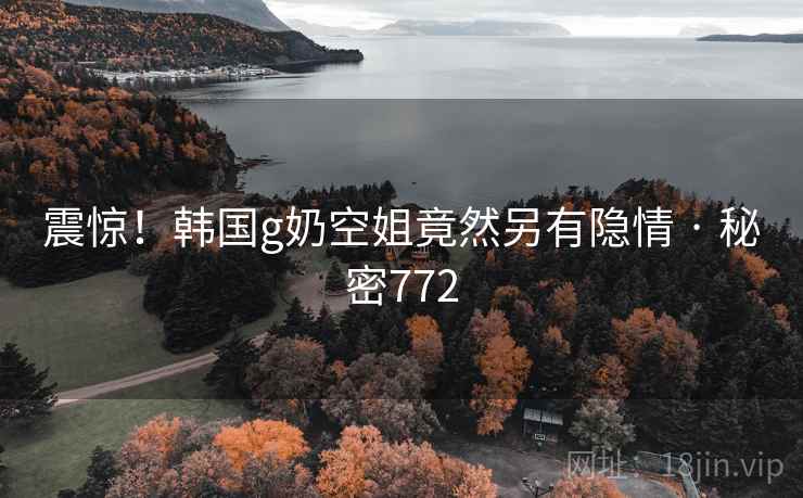 震惊！韩国g奶空姐竟然另有隐情 · 秘密772